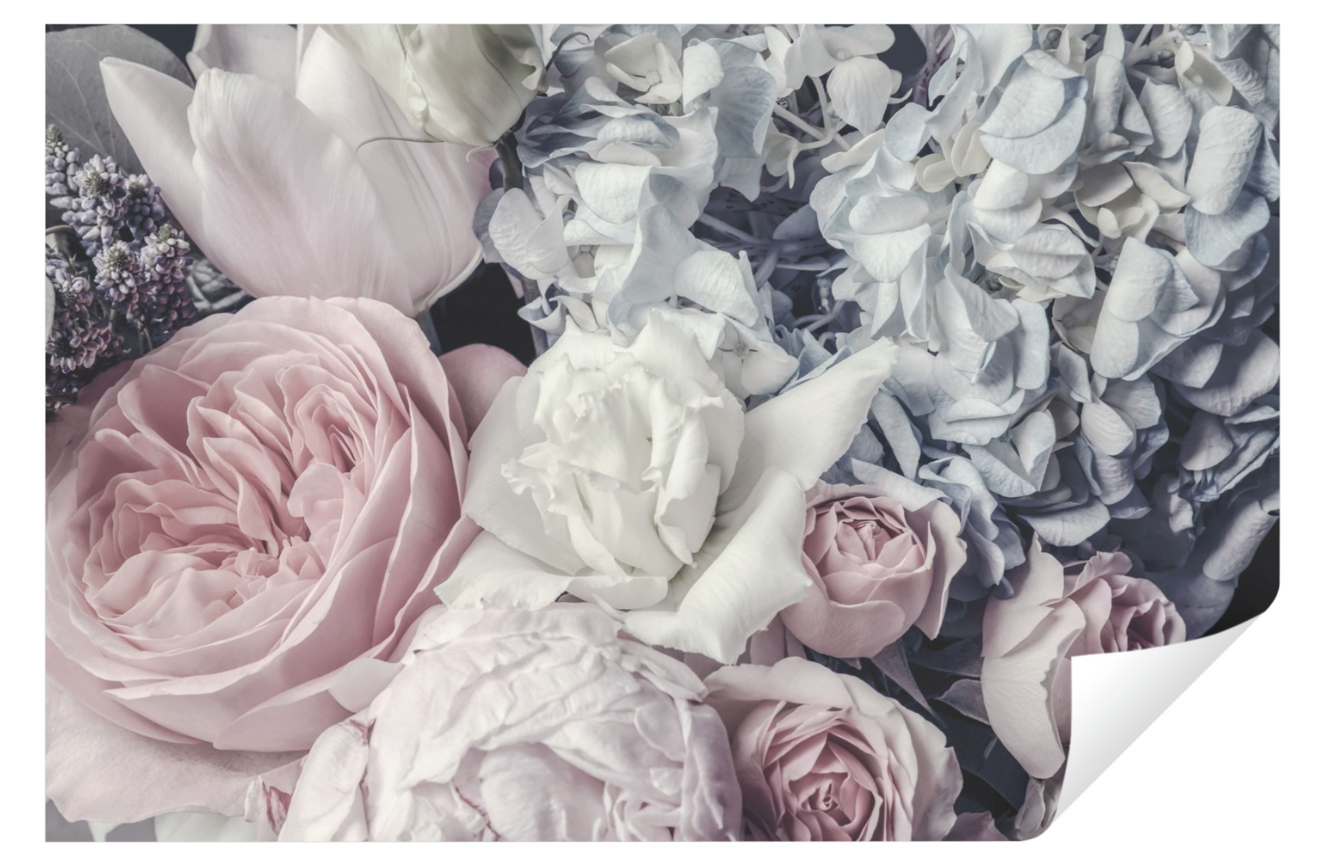 Wallarena Fototapete Blumen Rose Rosa Vintage Pfingstrosen Tapete Wohnzimme günstig online kaufen