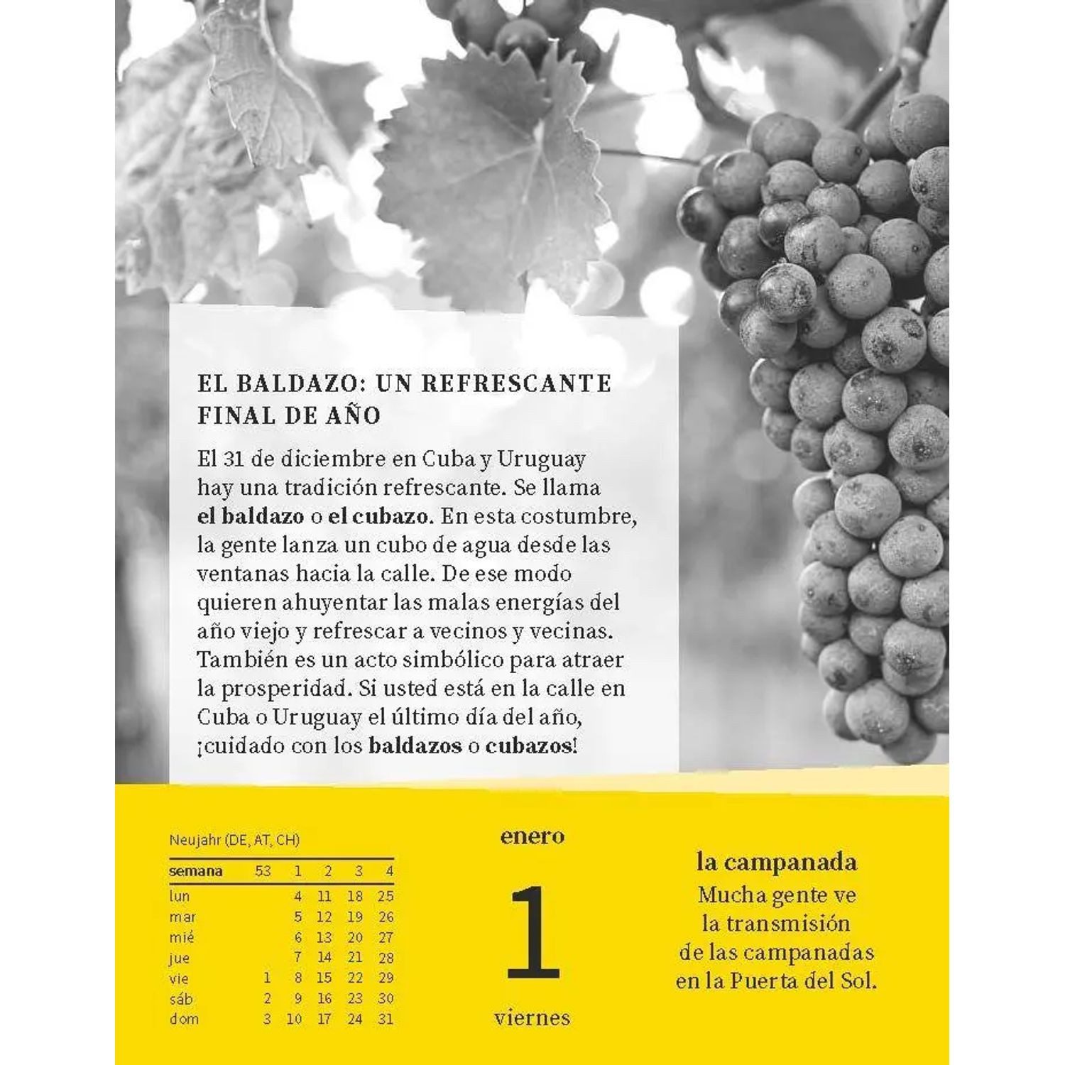Langenscheidt Abreißkalender Langenscheidt Sprachkalender Spanisch 2027