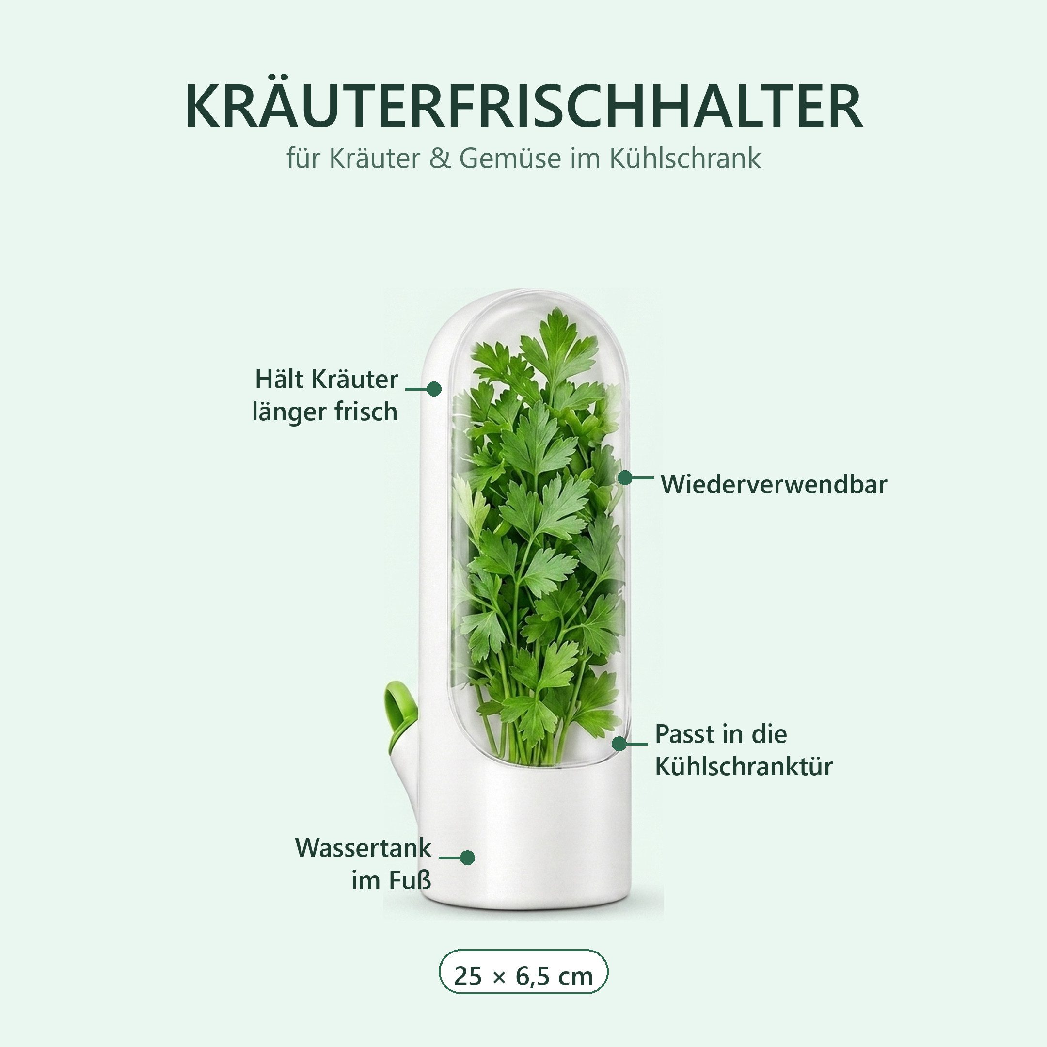 H-basics Frischhaltedose Kräuterfrischhalter für den Kühlschrank 25 cm, Kunststoff, mit Wassertank