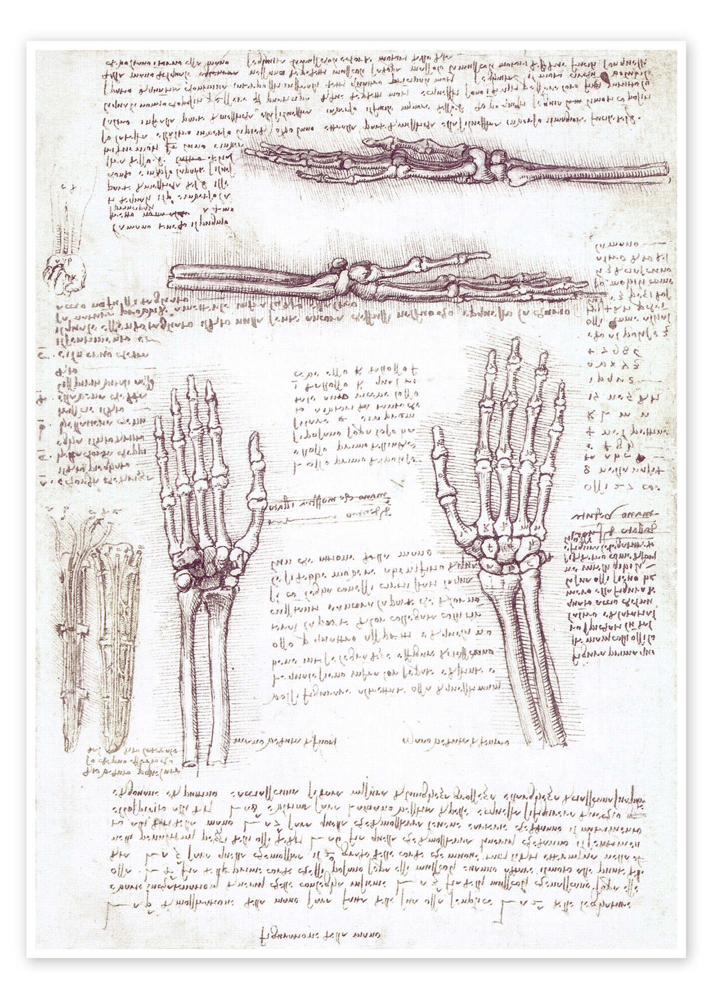 Posterlounge Poster Leonardo da Vinci, Studie einer Hand, Malerei