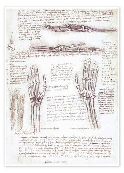 Posterlounge Poster Leonardo da Vinci, Studie einer Hand, Illustration