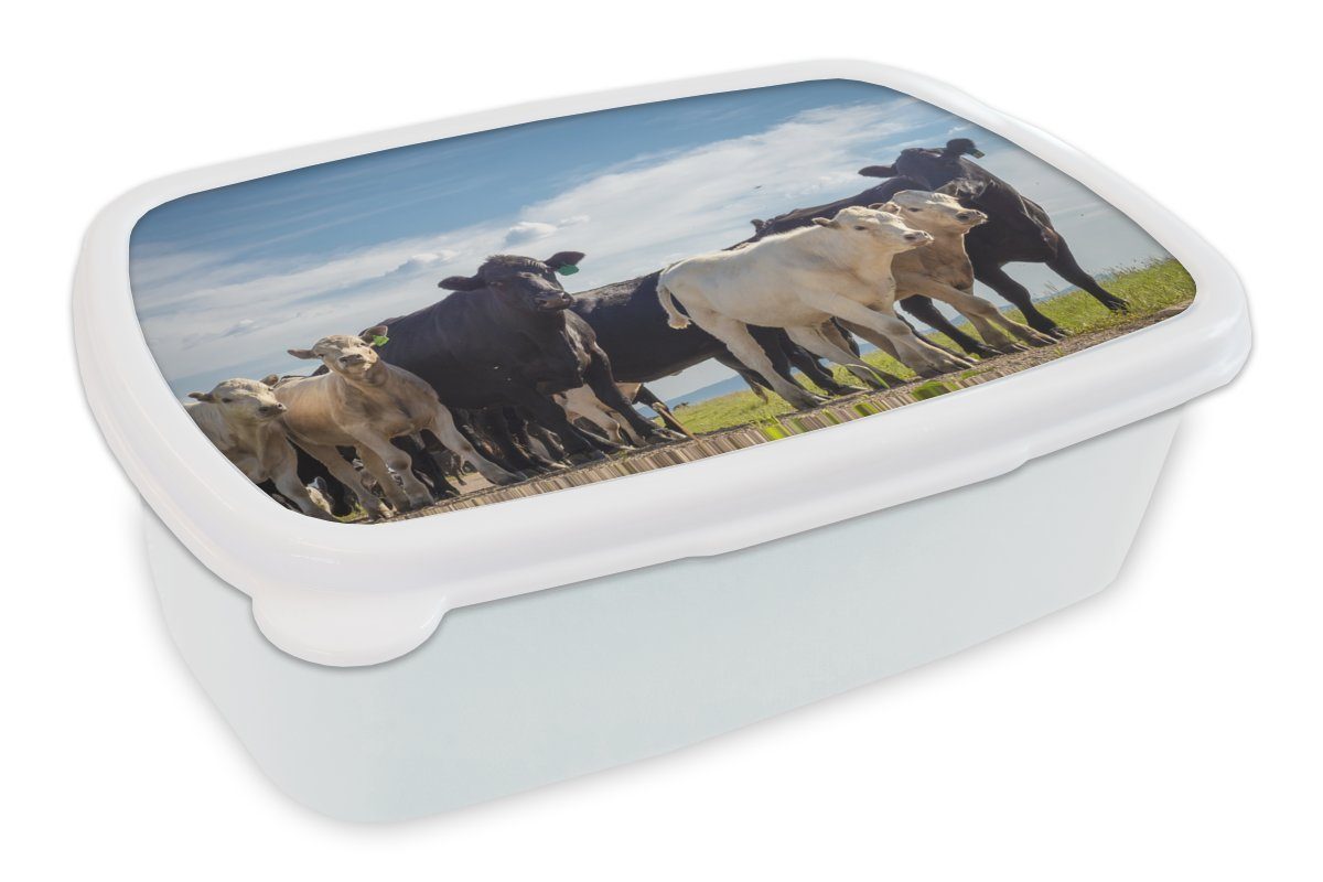 MuchoWow Lunchbox Tiere Brotdose, Luft, und Brotbox - Kinder - für für Kunststoff, Erwachsene, und weiß Jungs Kuh (2-tlg), Mädchen