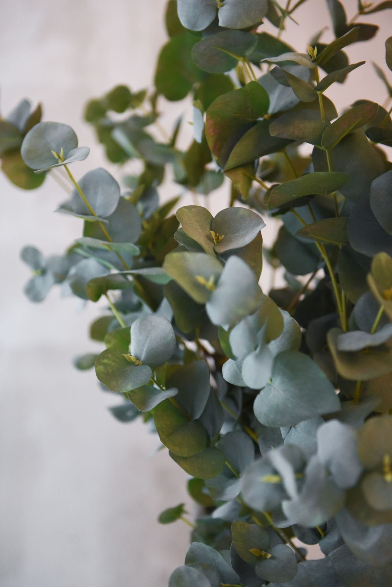- Eukalyptus EUKALY 90 VIVANNO, Kunstpflanze im cm cm, Topf Kunstpflanze 20x90 Höhe