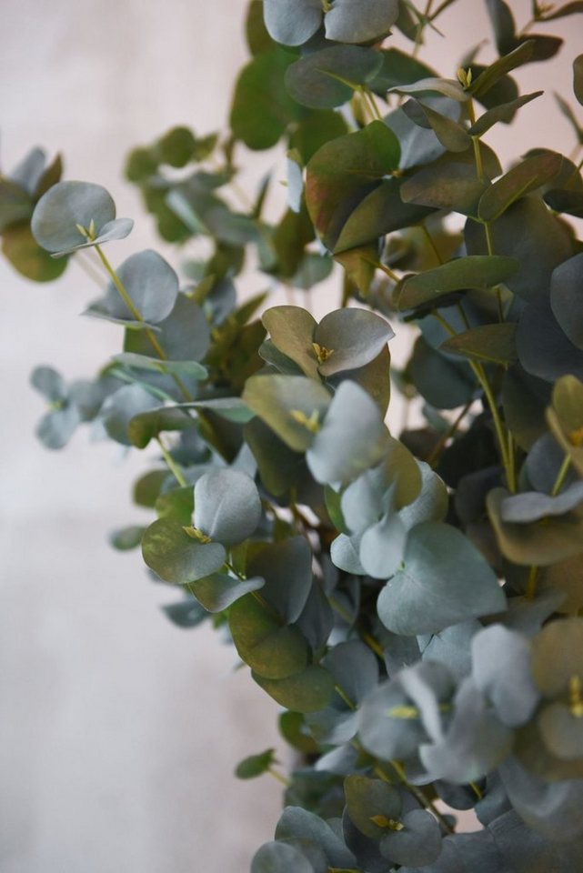 Topf VIVANNO, cm, Höhe 90 EUKALY Eukalyptus - cm Kunstpflanze 20x90 im Kunstpflanze