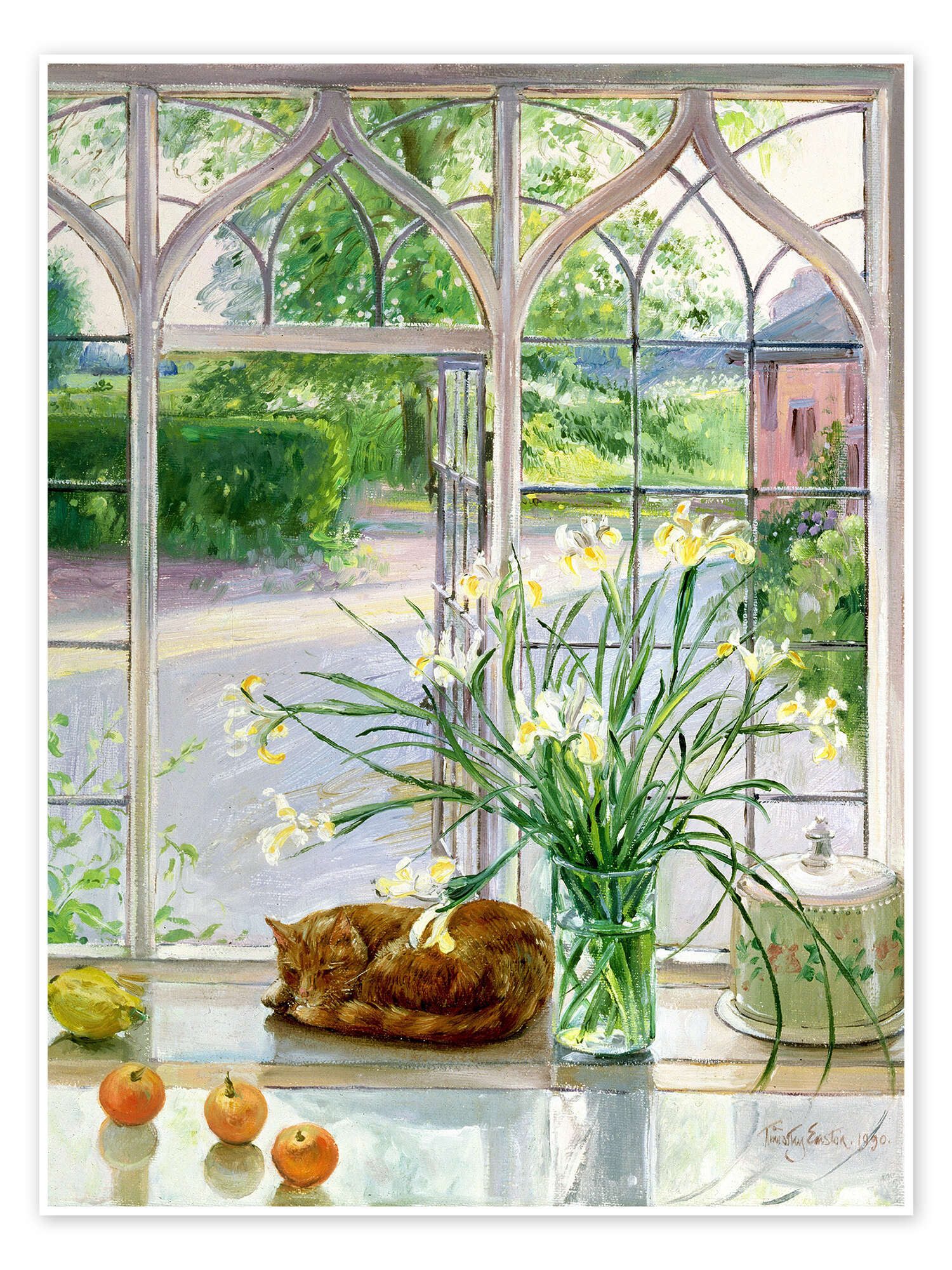 Posterlounge Wandbild Schlafende Katze im Fenster, Timothy Easton, erhältlich als Poster, Leinwandbild, Wandsticker oder Acrylglasbild