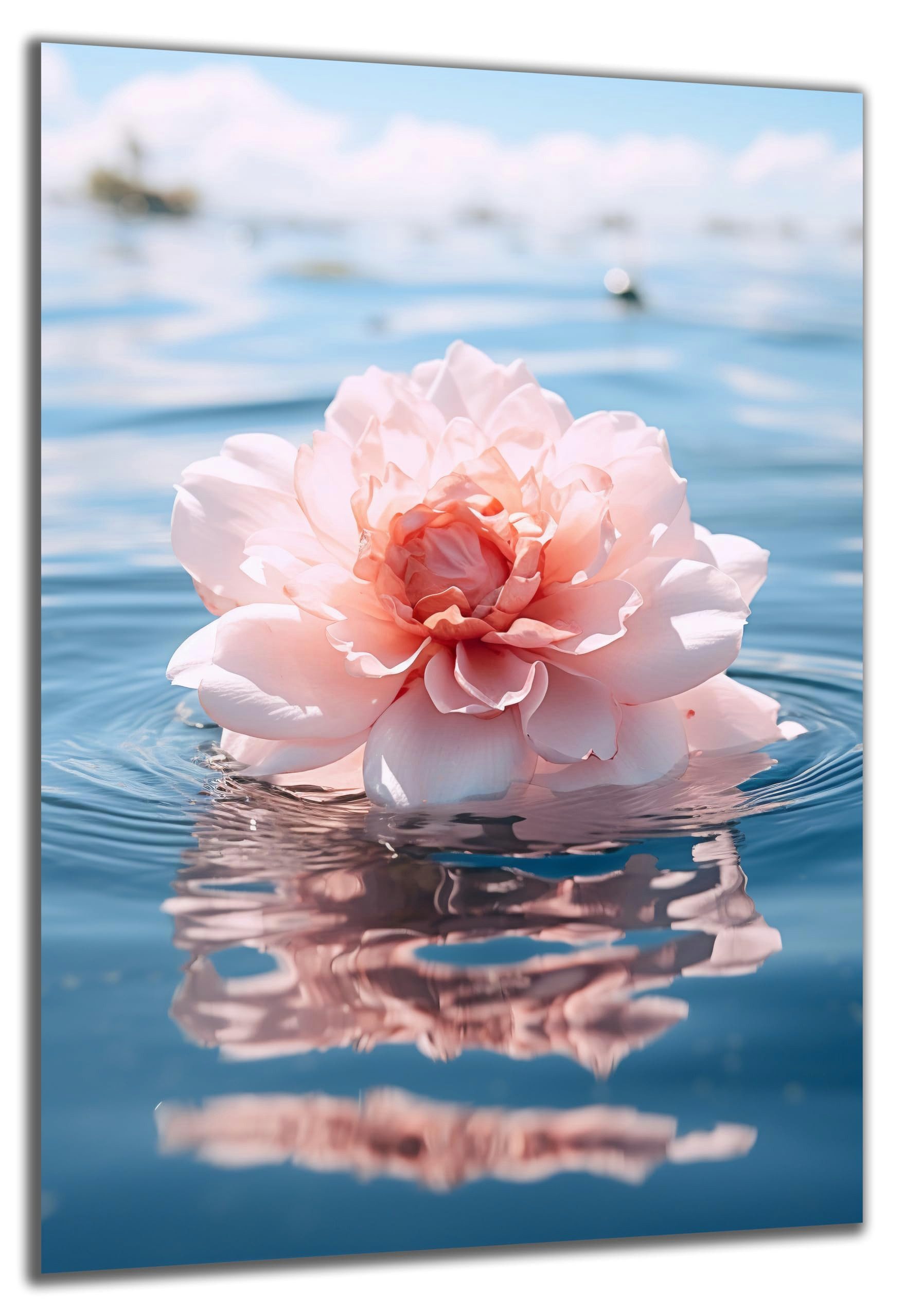 DARO Design Wandbild Blumen Blau Wandbilder Wand Deko Bilder Geschenk Leinwandbild, (Blüte rosa im Wasser - Bild klein Wohnzimmer Schlafzimmer Büro Flur Esszimmer Einteilig Querformat Fotodruck Blumen in Blau), 30x20 cm
