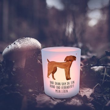 Mr. & Mrs. Panda Windlicht Hund Dogge - Transparent - Geschenk, Hunderasse, Teelichtglas, Kerzen (1 St), Hochwertiges Material