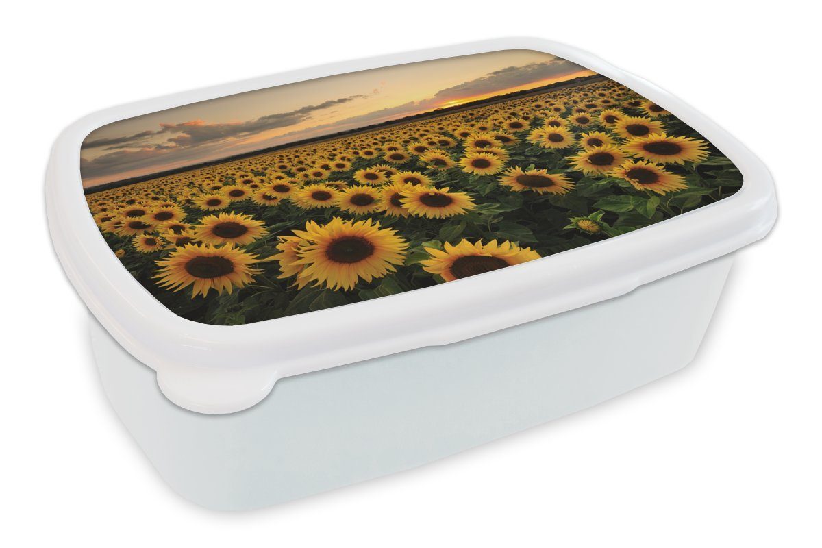MuchoWow Lunchbox Sonnenblume - Sonnenuntergang - Farben, Kunststoff, (2-tlg), Brotbox für Kinder und Erwachsene, Brotdose, für Jungs und Mädchen weiß