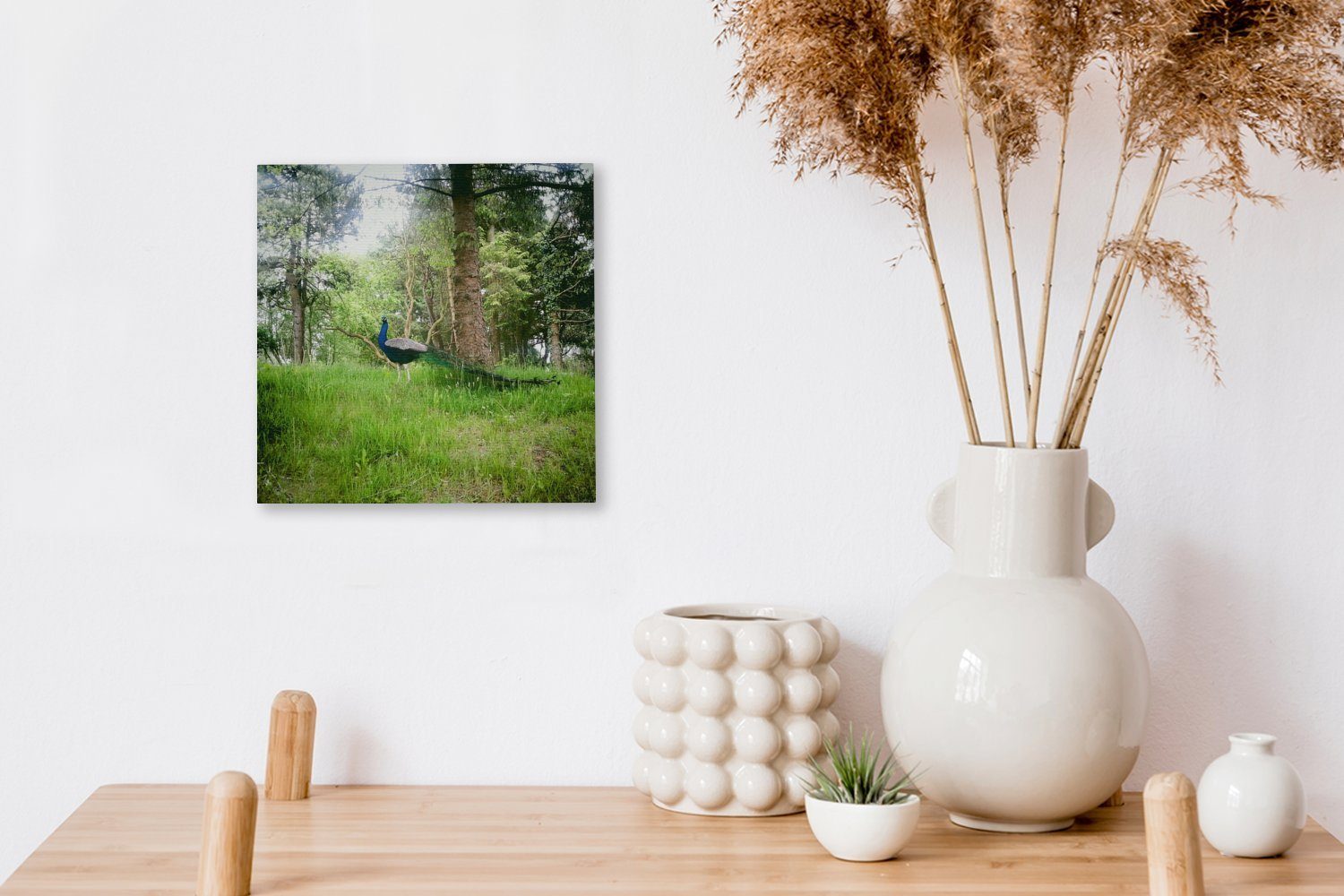 Wohnzimmer - Schlafzimmer Leinwand St), Gras Wald, - Bilder (1 Leinwandbild OneMillionCanvasses® Pfau für