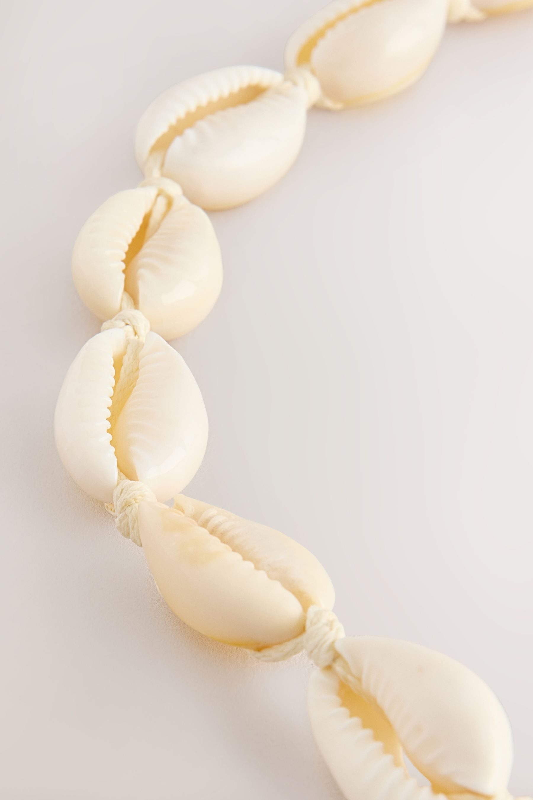 Next Collier Muschel-Halskette (1-tlg) günstig online kaufen