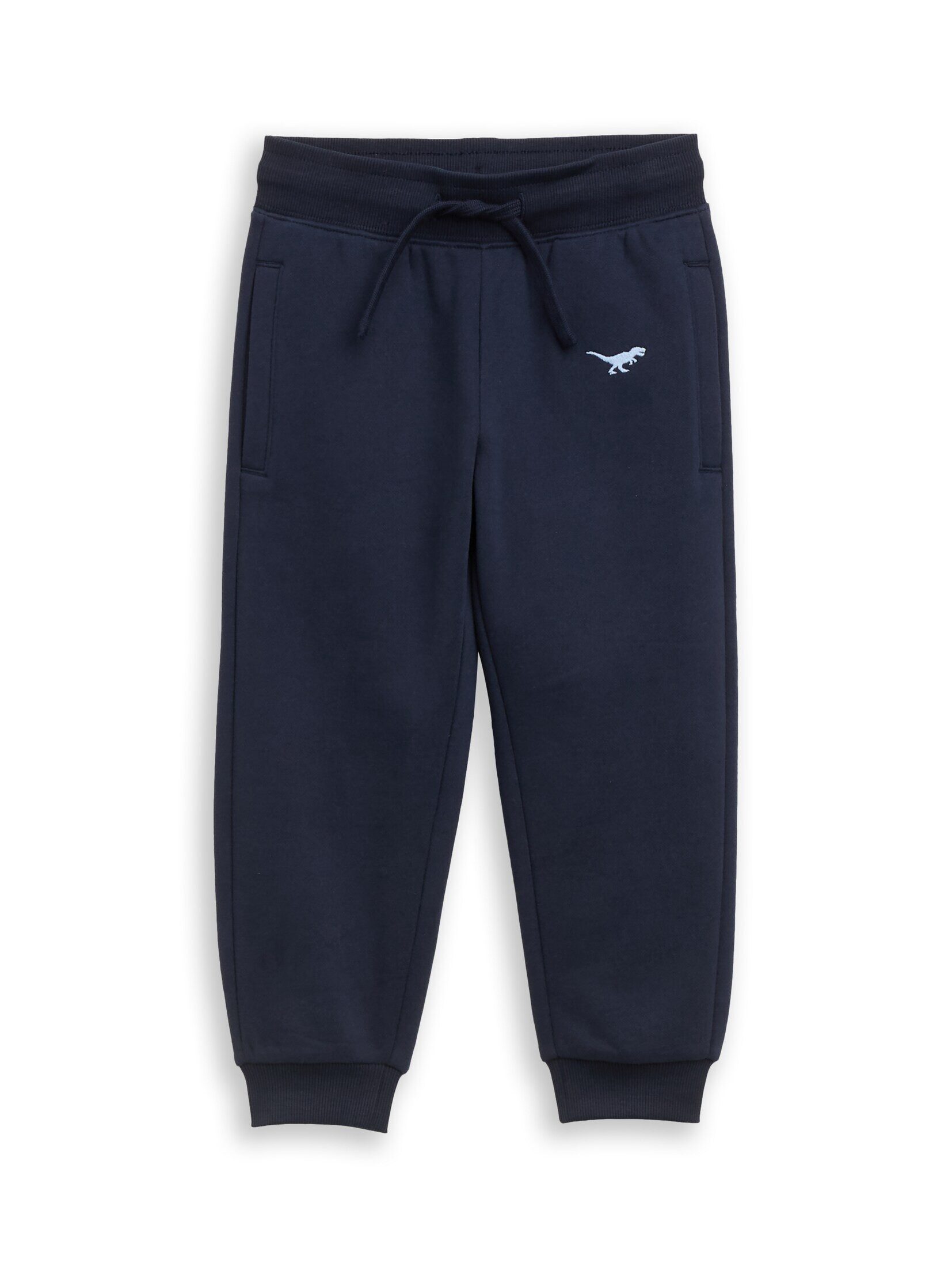 TOM TAILOR Sweathose Hosen & Chino Jogginghose mit Dino-Stickerei