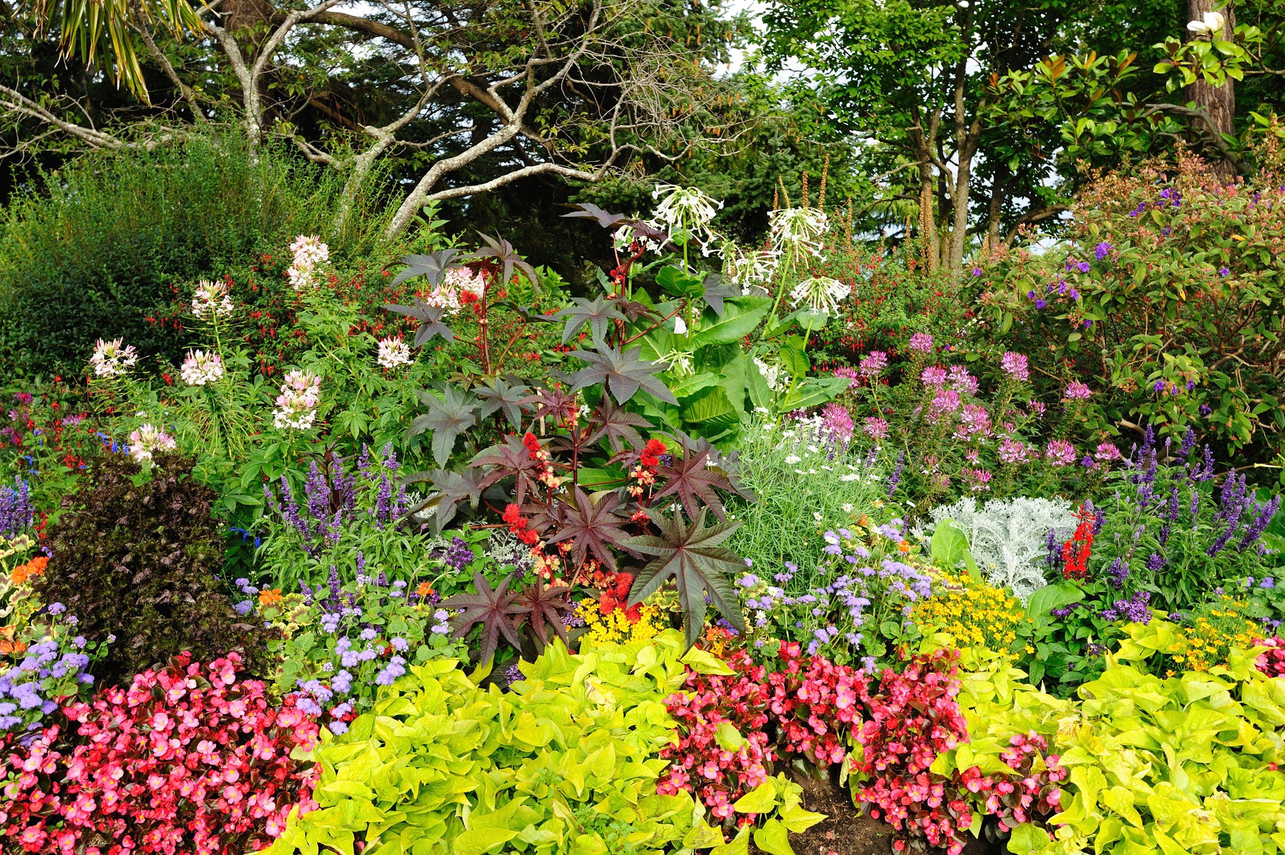Papermoon Fototapete GARTEN-BÄUME BLUMEN PFLANZEN PARK STEINE WALD BLÜTEN