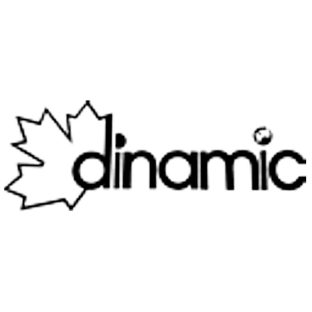 Dinamic
