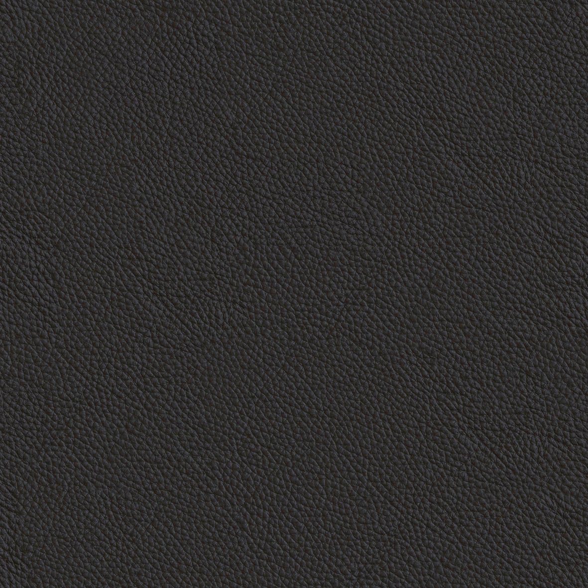 Ledenstütze Padova, FLEXLUX integriert, Ohrensessel Fuß organische schwarz Form, Komfort, & Stil
