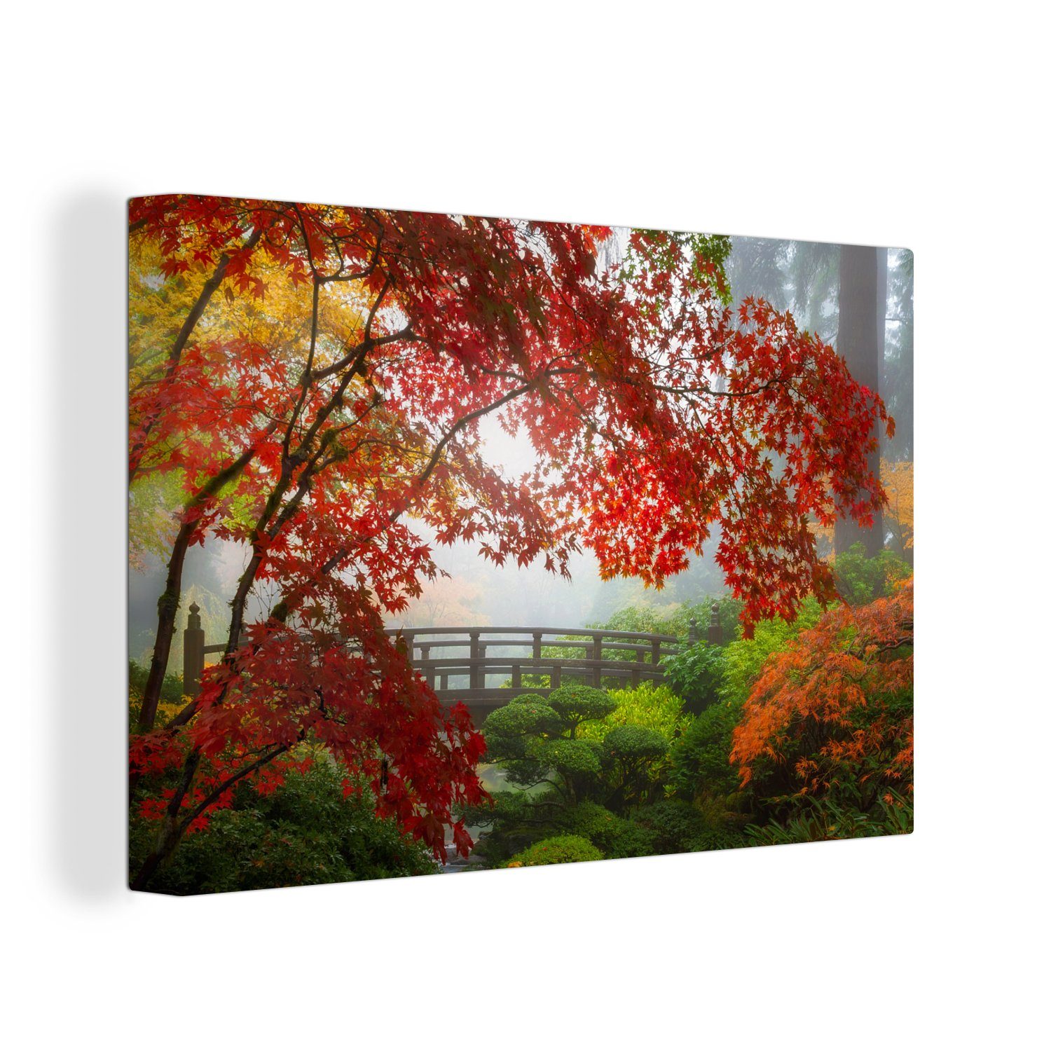 OneMillionCanvasses® Leinwandbild Japanischer Ahorn - Bäume günstig online kaufen