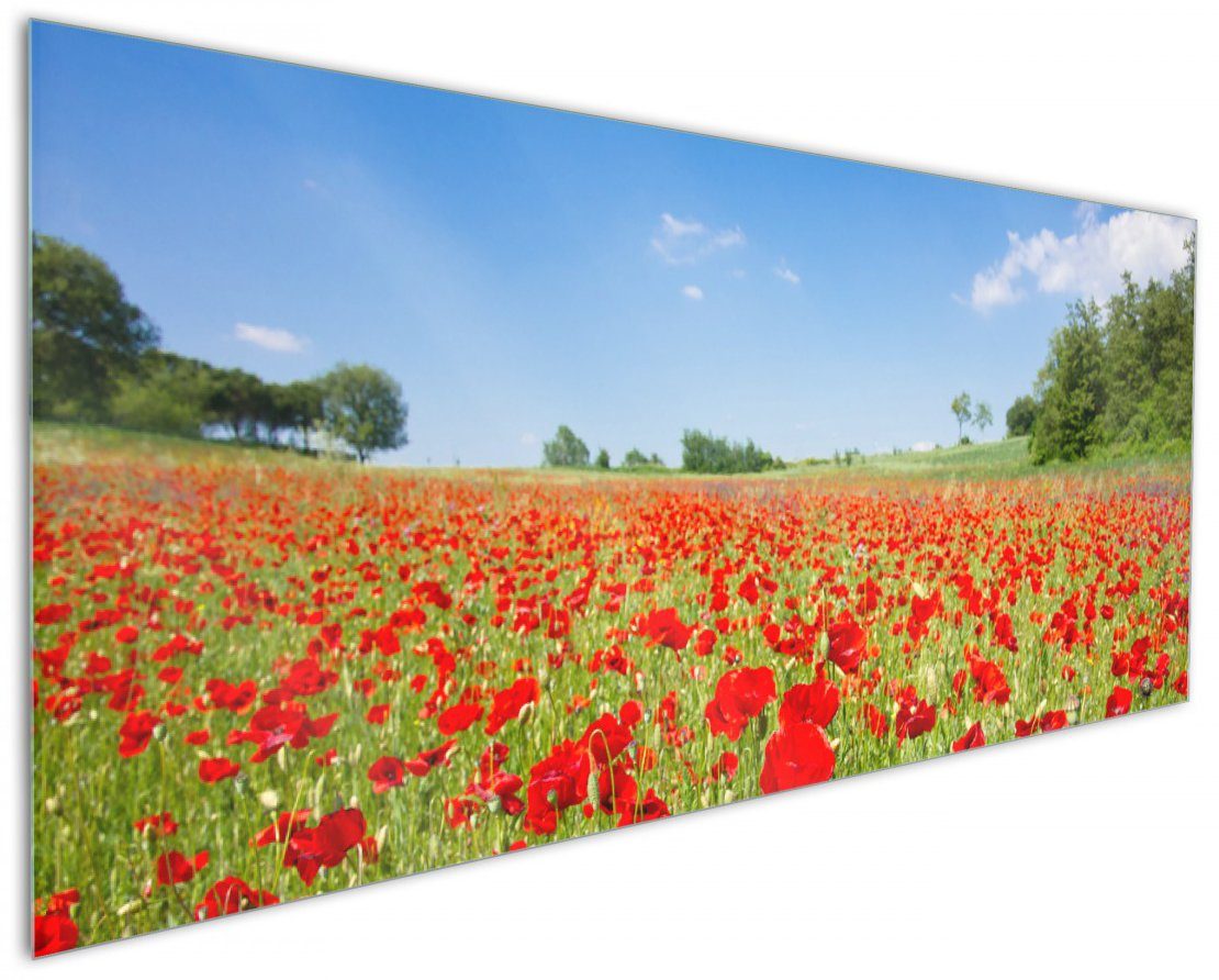 Wallario Küchenrückwand Mohnblumenfeld- rote Blumen unter blauem Himmel, (1-tlg)