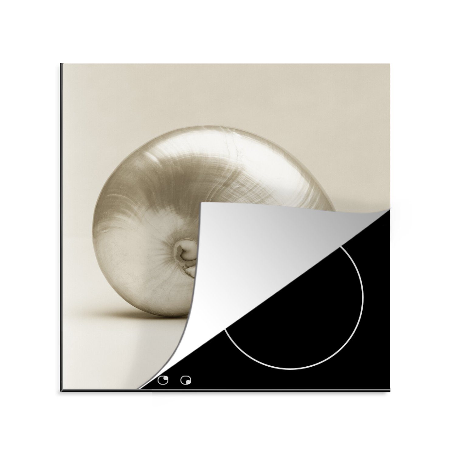 Herdblende-/Abdeckplatte Vinyl, cm, küche Muschel -Weiß, (1 tlg), Ceranfeldabdeckung, -Perle Arbeitsplatte 78x78 für MuchoWow