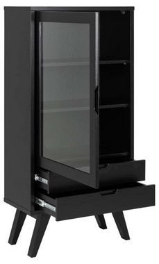 ebuy24 Vitrine ALine Vitrinenschrank 1 Glastür, 2 Schubladen schw