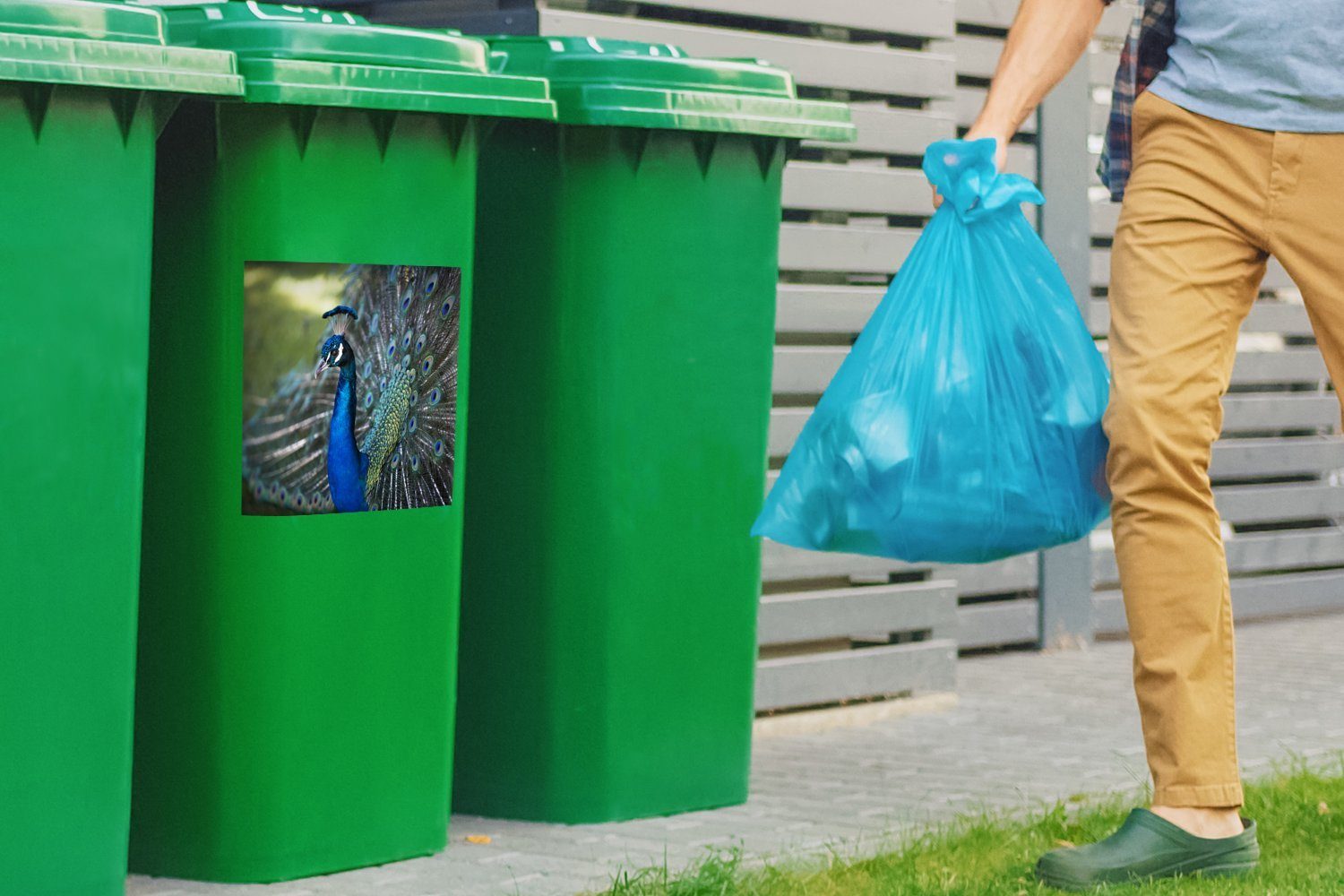 - Vögel (1 Blau Mülltonne, - Sticker, Abfalbehälter MuchoWow Container, Mülleimer-aufkleber, Wandsticker St), Pfau