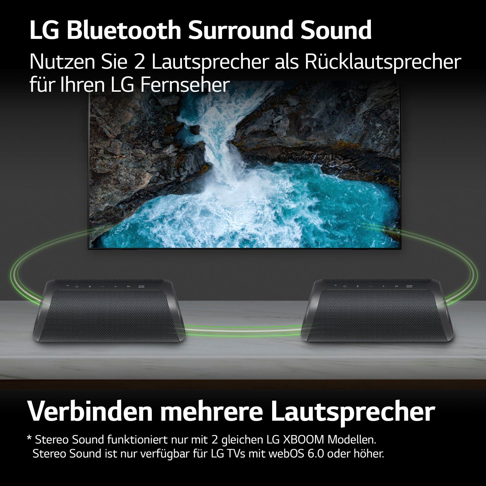 LG XBOOM Go Lautsprecher schwarz DXG7 W) (Bluetooth, 40 1.0