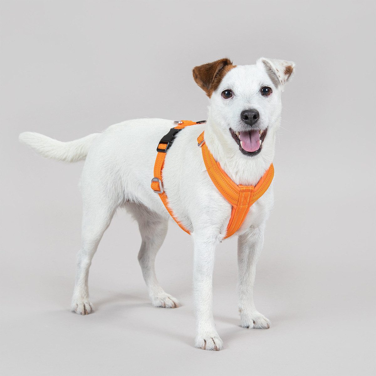PAIKKA Hunde-Geschirr Hundegeschirr "Easy Harness" orange