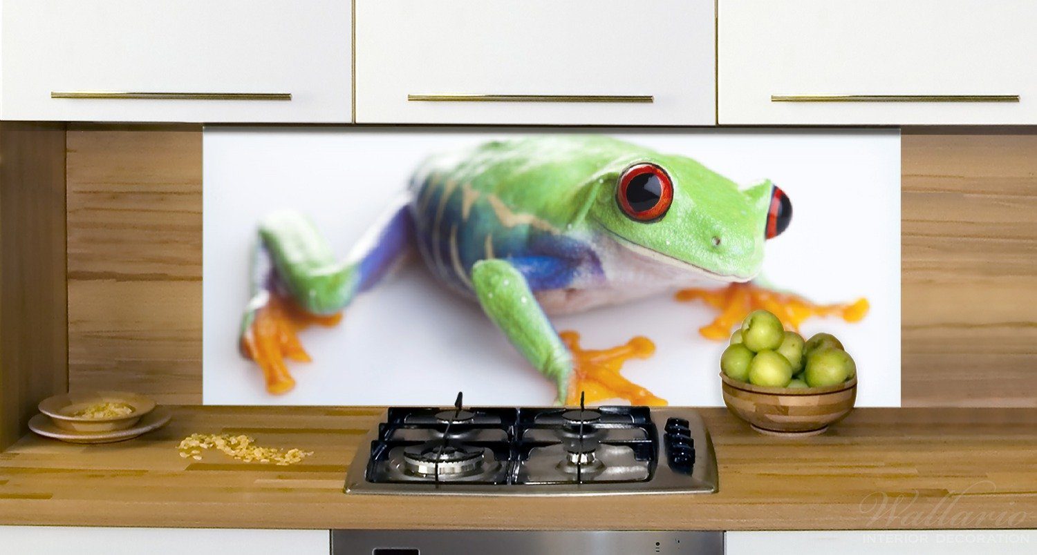 und Frosch in Küchenrückwand Wallario Lustiger (1-tlg) grün orange,