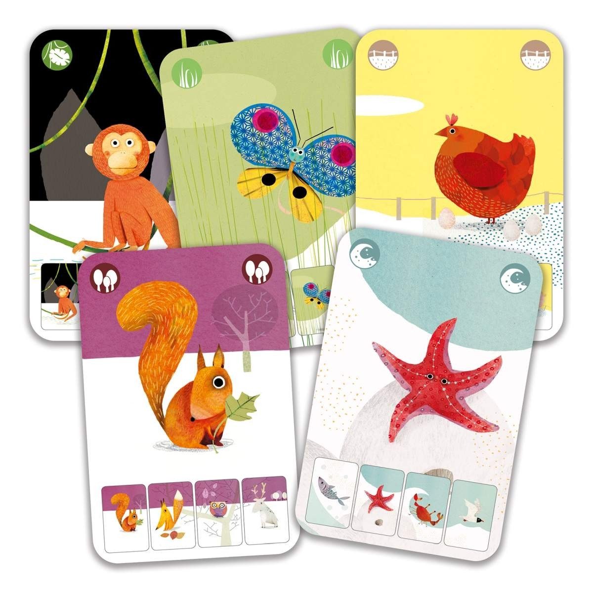DJECO Spiel Mini Nature Beobachtungsspiel mit Tiermotiven für Kinder, Kartenspiel Mini Nature, klassisches Quartettspiel