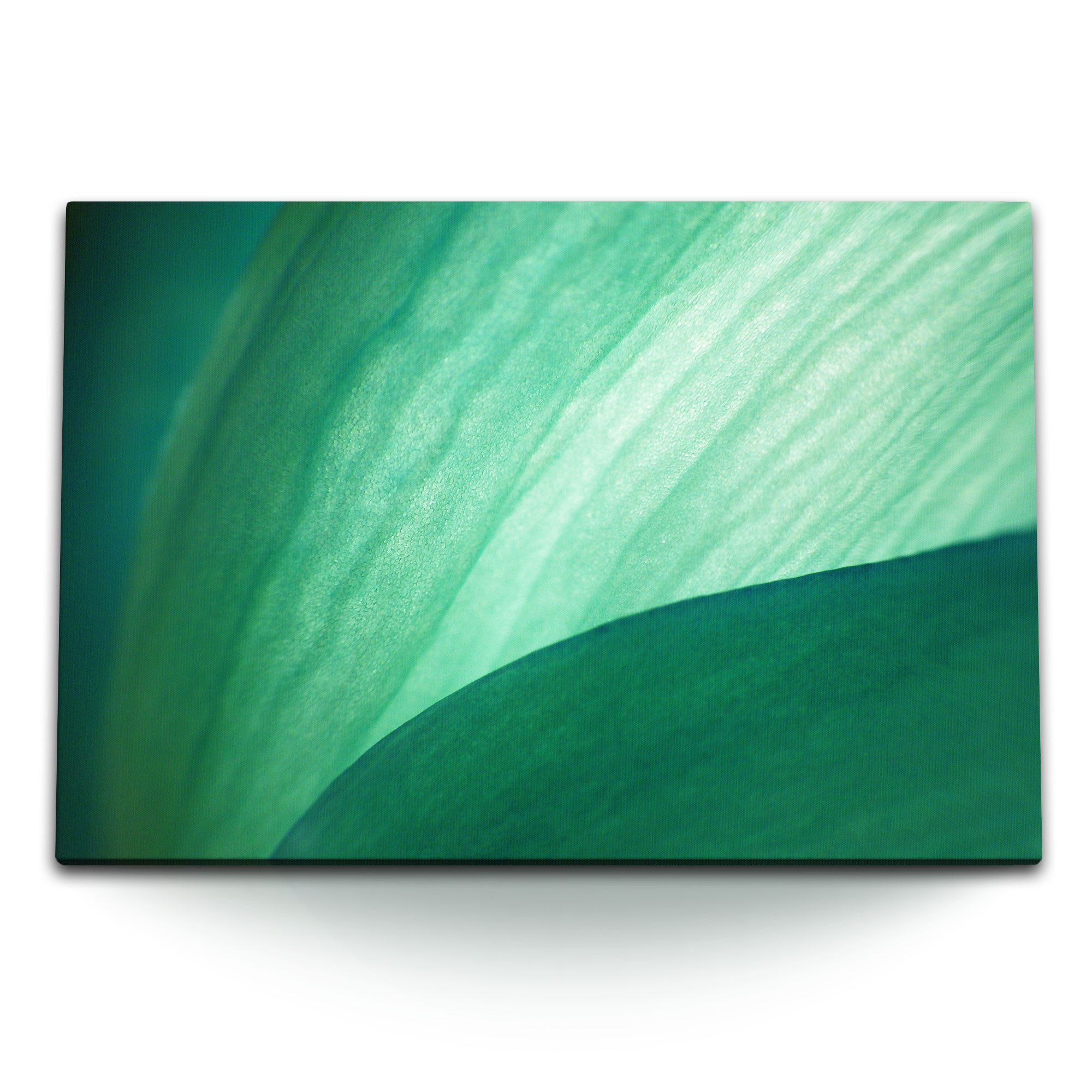 Sinus Art Leinwandbild 120x80cm Wandbild auf Leinwand Grüne Pflanze Makrofotografie Kunstvoll, (1 St)