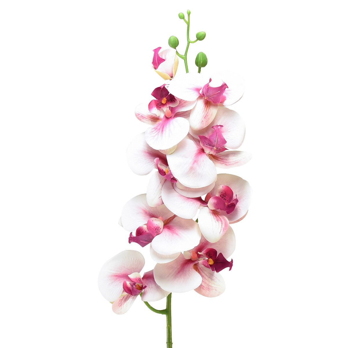 Kunstorchidee Phalaenopsis Orchidee künstlich Weiß Fuchsia günstig online kaufen