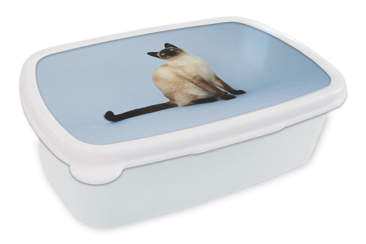 MuchoWow Lunchbox Eine Siamkatze in einem blauen Atelier, Kunststoff, (2-tlg), Brotbox für Kinder und Erwachsene, Brotdose, für Jungs und Mädchen weiß