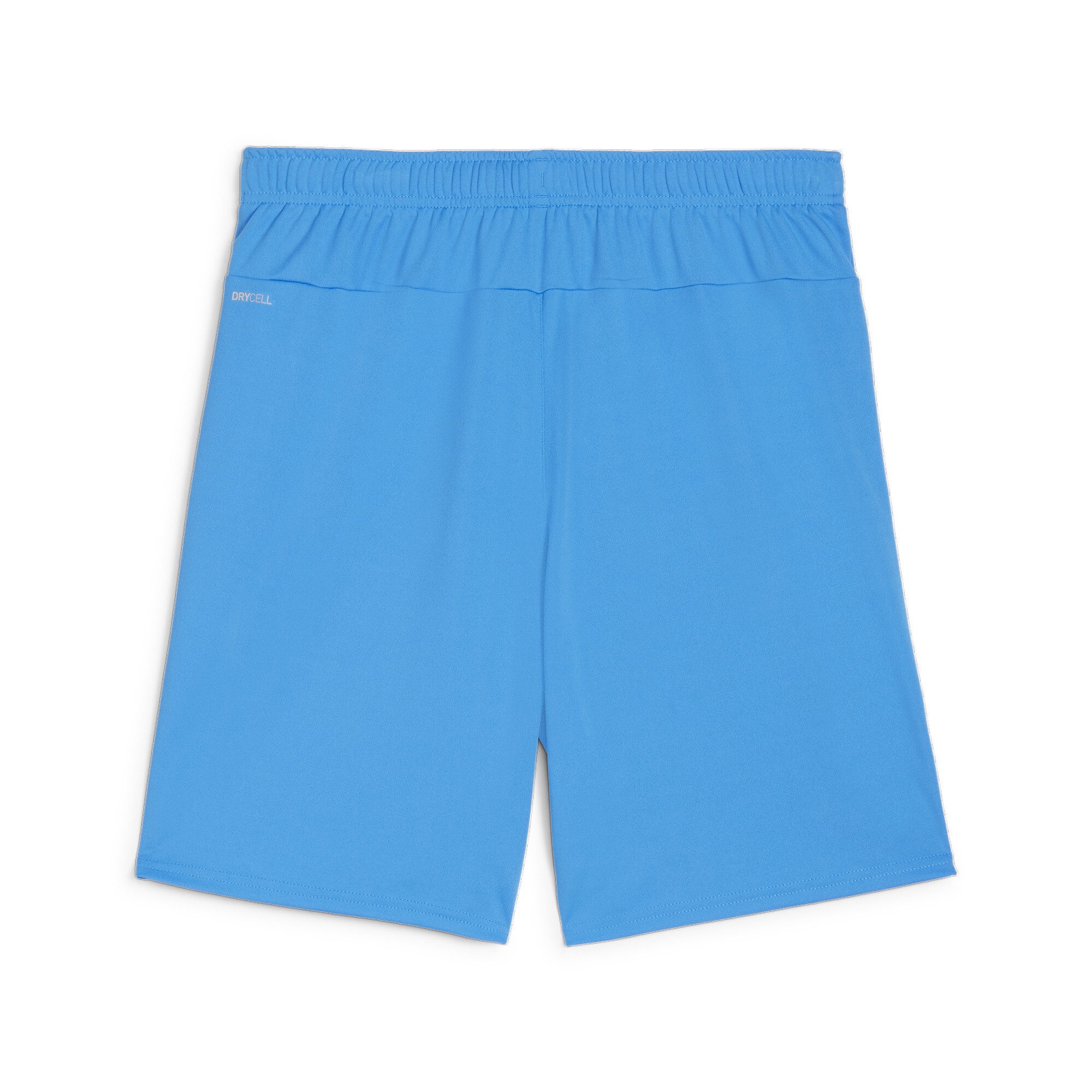 PUMA Trainingsshorts TEAMGOAL SHORTS günstig online kaufen