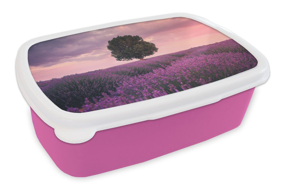 MuchoWow Lunchbox Lavendel - Blumen - Lila - Baum - Natur, Kunststoff, (2-tlg), Brotbox für Erwachsene, Brotdose Kinder, Snackbox, Mädchen, Kunststoff rosa