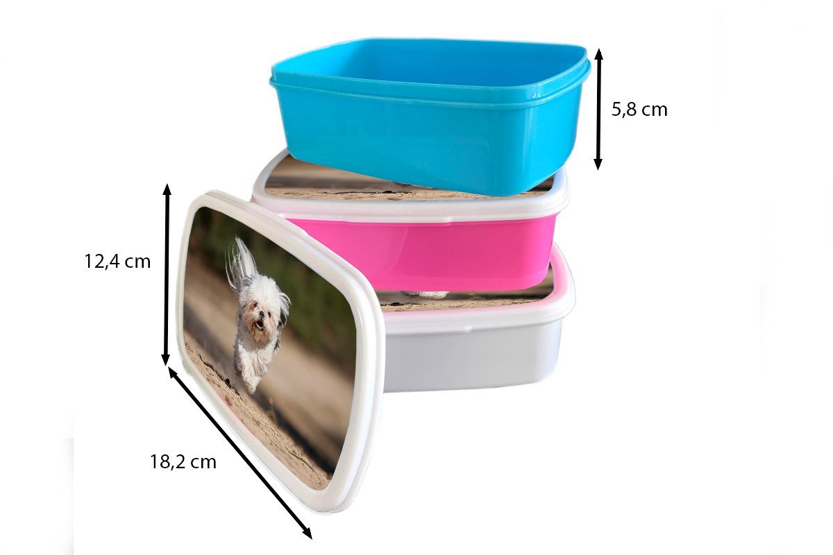 MuchoWow Lunchbox (2-tlg), Kunststoff, Brotbox Brotdose Kunststoff seinen Kinder, Mädchen, rosa Beinen schwebt Snackbox, über für mit Ein Erwachsene, Shih Hund dem Boden, Tzu