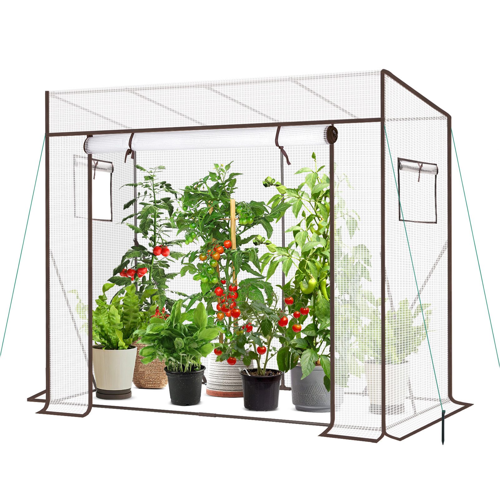 Sekey Gewächshaus Schrägdach Foliengewächshaus Tomatenhaus Begehbares Tomatengewächshaus, 200x77x146/169cm, 140g/m² PE Plane Wasserdicht Wetterfest Pflanzenhaus