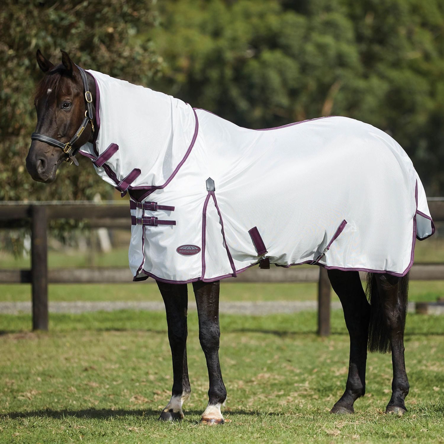 WeatherBeeta Pferde-Fliegendecke Weatherbeeta Comfitec Essential Mesh II Combo Neck