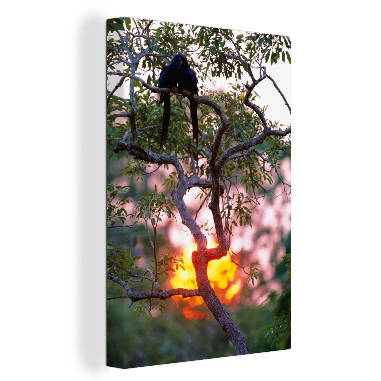 OneMillionCanvasses® Leinwandbild Silhouette von zwei Hyazinth-Aras bei Sonnenuntergang, (1 St), Leinwandbild fertig bespannt inkl. Zackenaufhänger, Gemälde, 20x30 cm