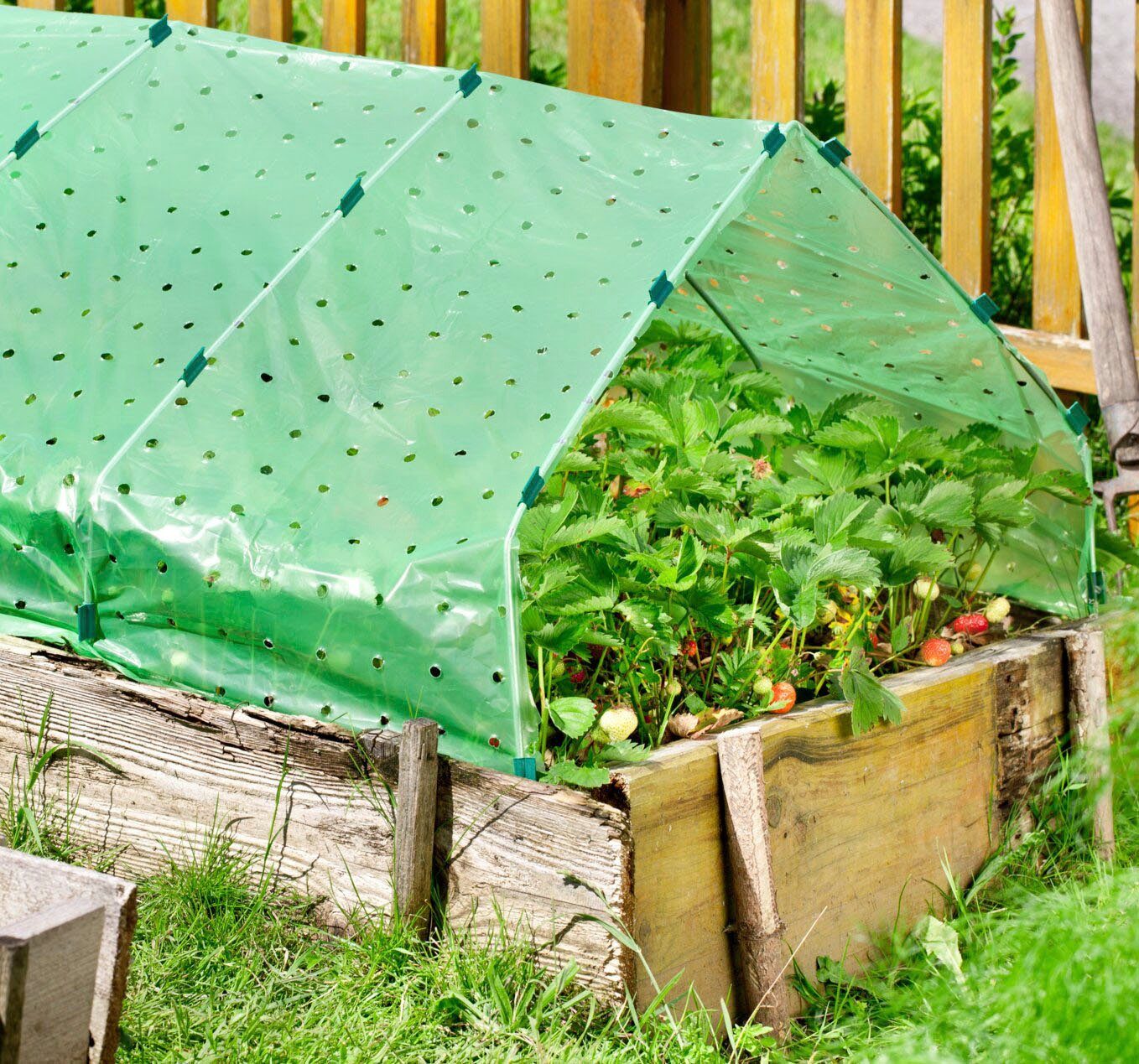 Windhager Gitterfolie STRONG, Frühbeet-Folie, 10x1,5 m
