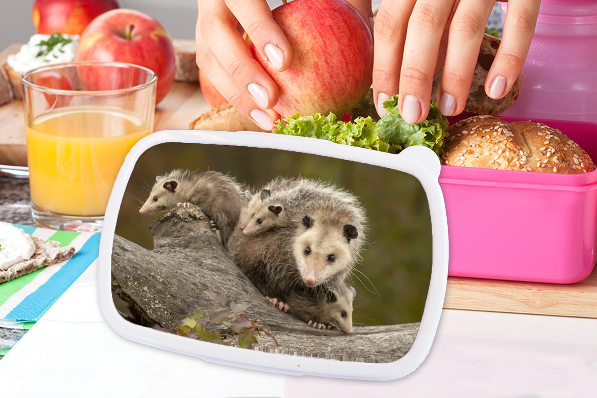 Opossum Brotbox Kinder, Snackbox, Lunchbox für mit rosa (2-tlg), Mädchen, Jungen, Virginisches Erwachsene, Brotdose Kunststoff Kunststoff, MuchoWow