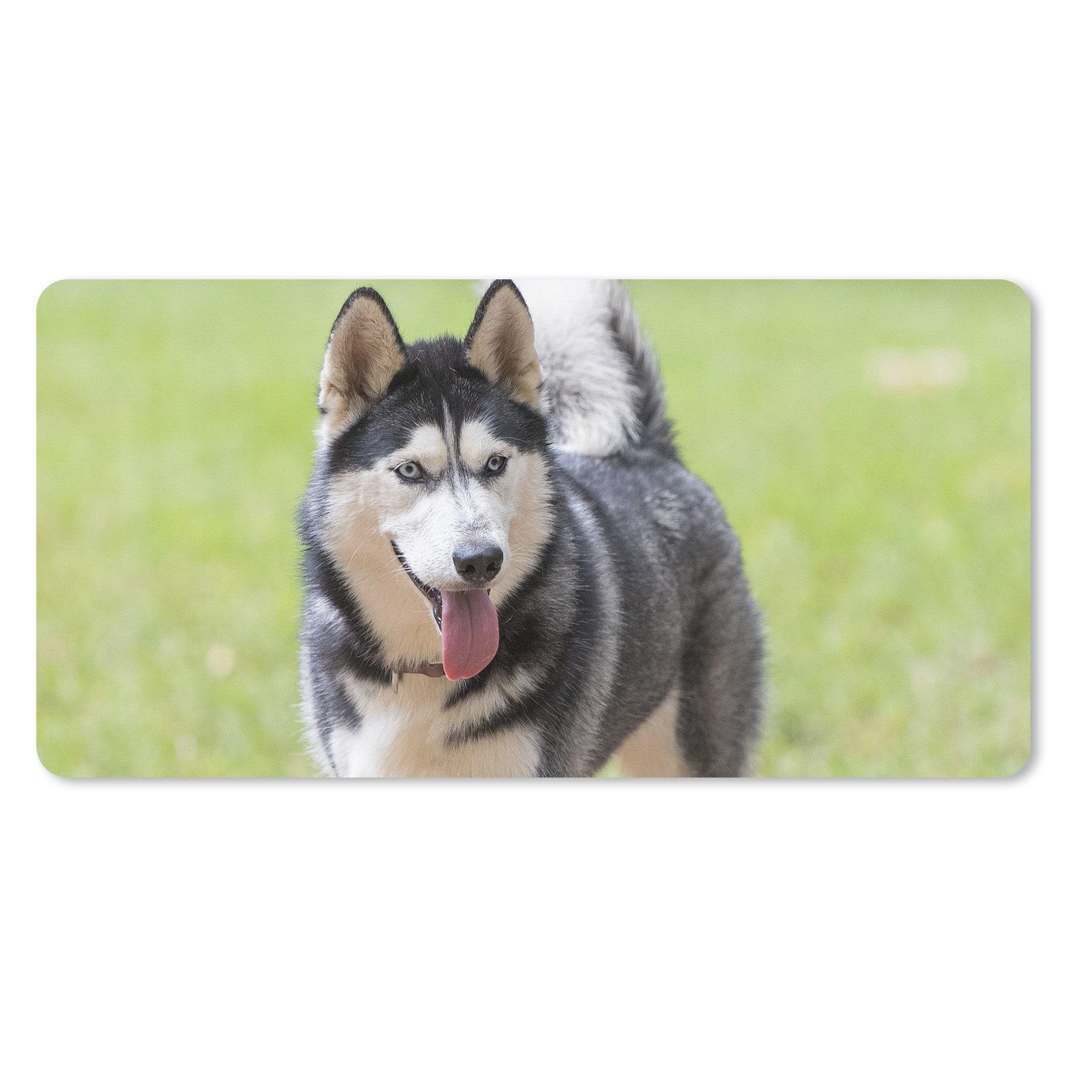 MuchoWow Mauspad Husky im Park (1-St), Mousepad mit Rutschfester Unterseite, Gaming XXL, Großes, 120x60 cm