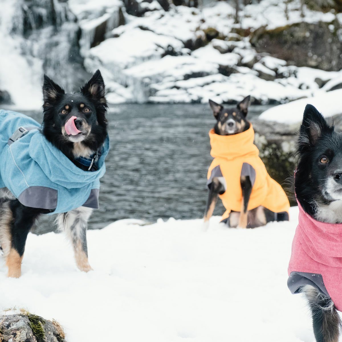 HURTTA Hundemantel Expedition Wintermantel orange