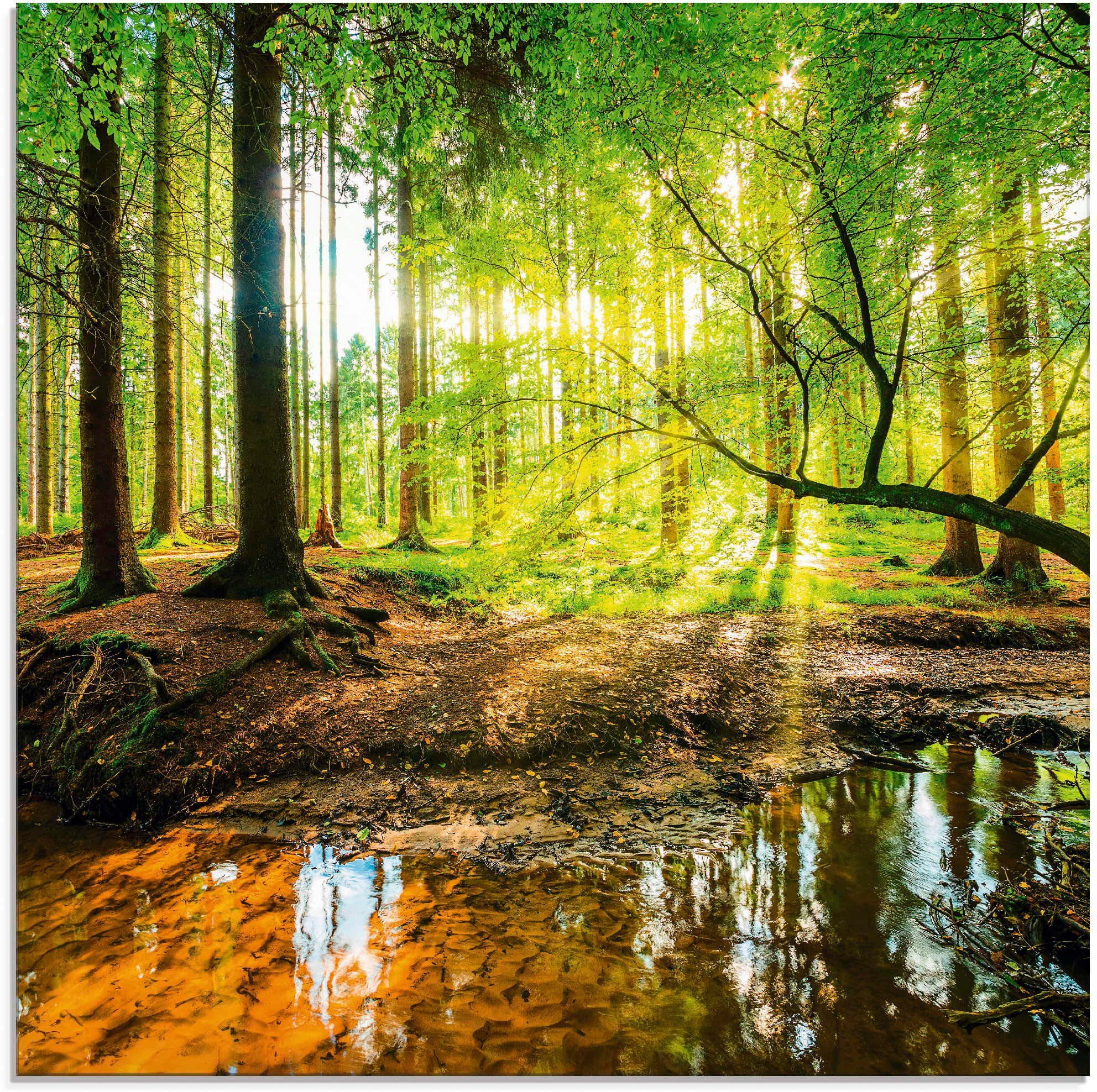 Artland Glasbild Wald mit Bach, Wald günstig online kaufen