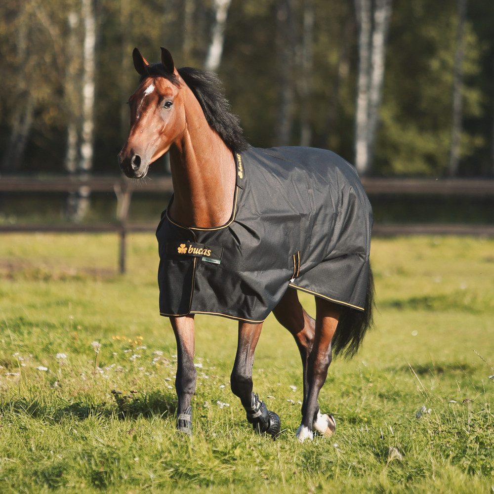 Bucas Pferde-Thermodecke Bucas Irish Turnout 100g