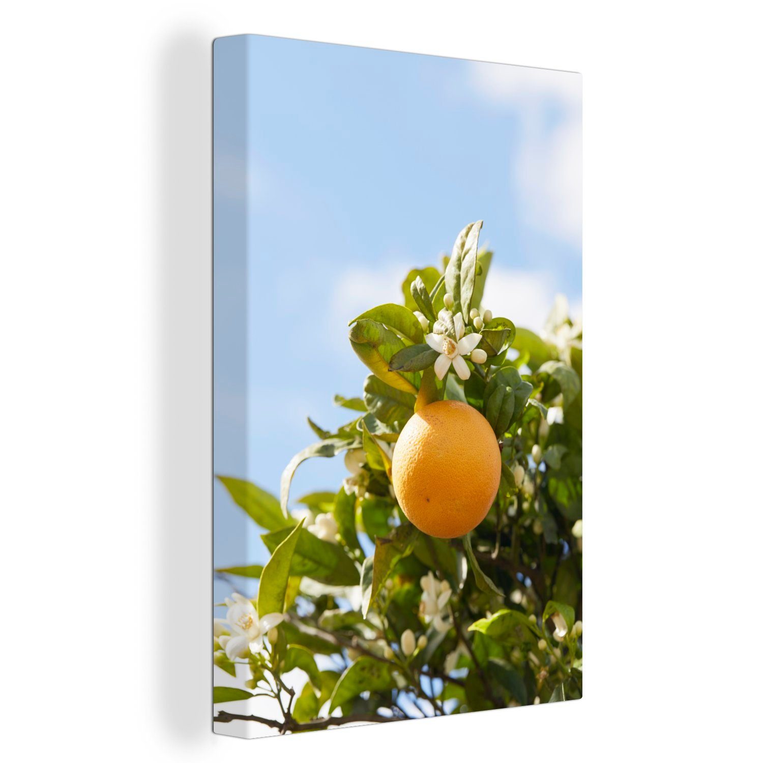 bespannt Frucht, (1 fertig Orange OneMillionCanvasses® cm Baum Zackenaufhänger, Gemälde, Leinwandbild - 20x30 Leinwandbild St), - inkl.