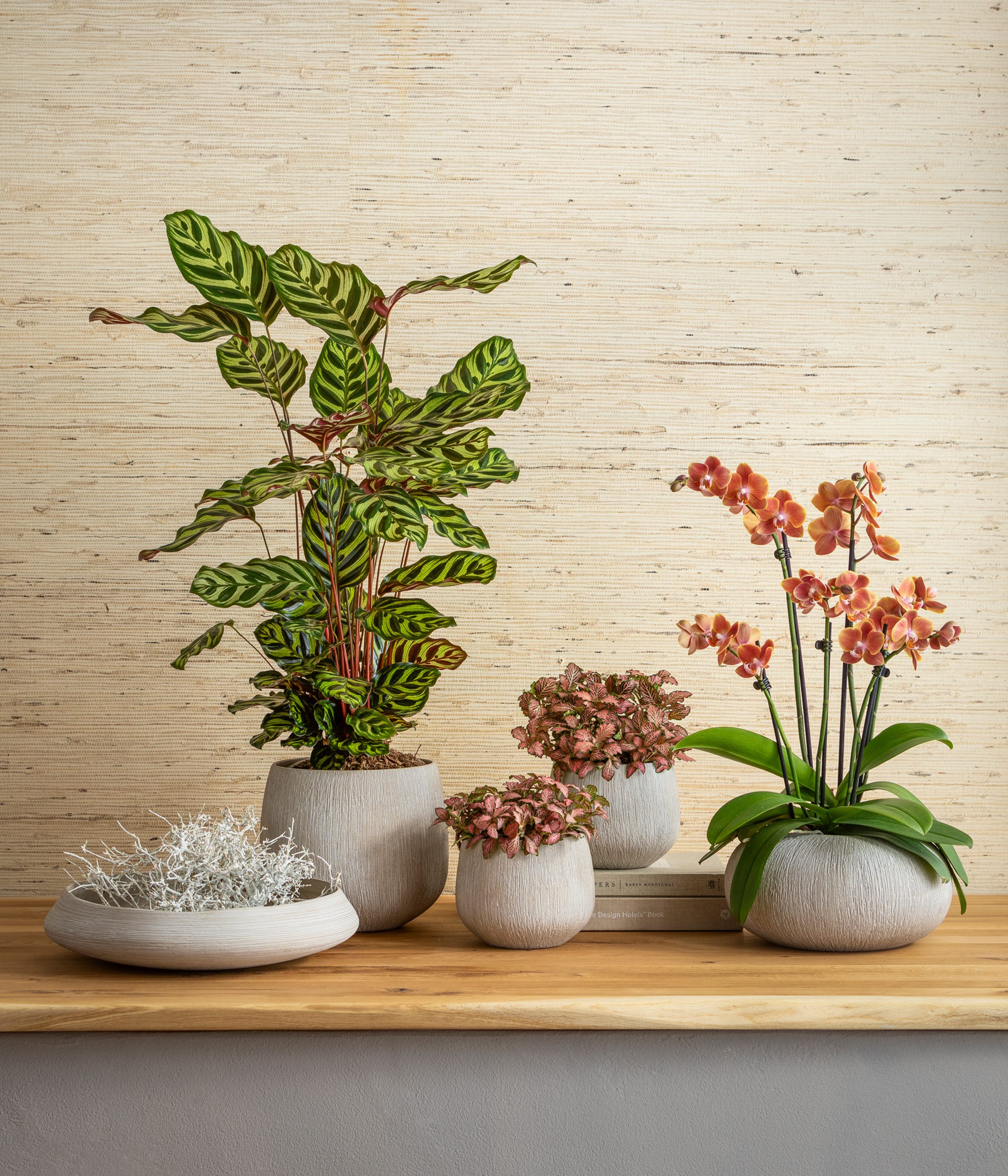 Dehner Übertopf Leander, bauchige Form, Keramik, weiß / creme, handgefertigter Indoor Blumentopf