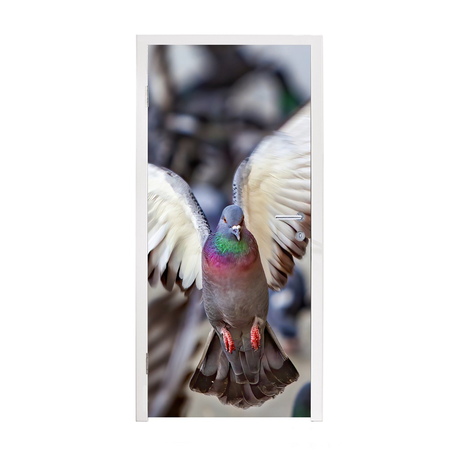 MuchoWow Türtapete Nahaufnahme einer fliegenden Taube, Matt, bedruckt, (1 St), Fototapete für Tür, Türaufkleber, 75x205 cm