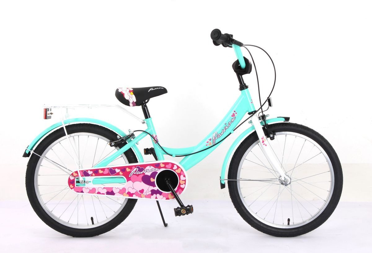 T&Y Trade Kinderfahrrad 20 Zoll Kinder Mädchen City Fahrrad Bike Rad Kinderfahrrad PASSIO Grün, 1 Gang, Gepäckträger, Seitenständer, Schutzbleche