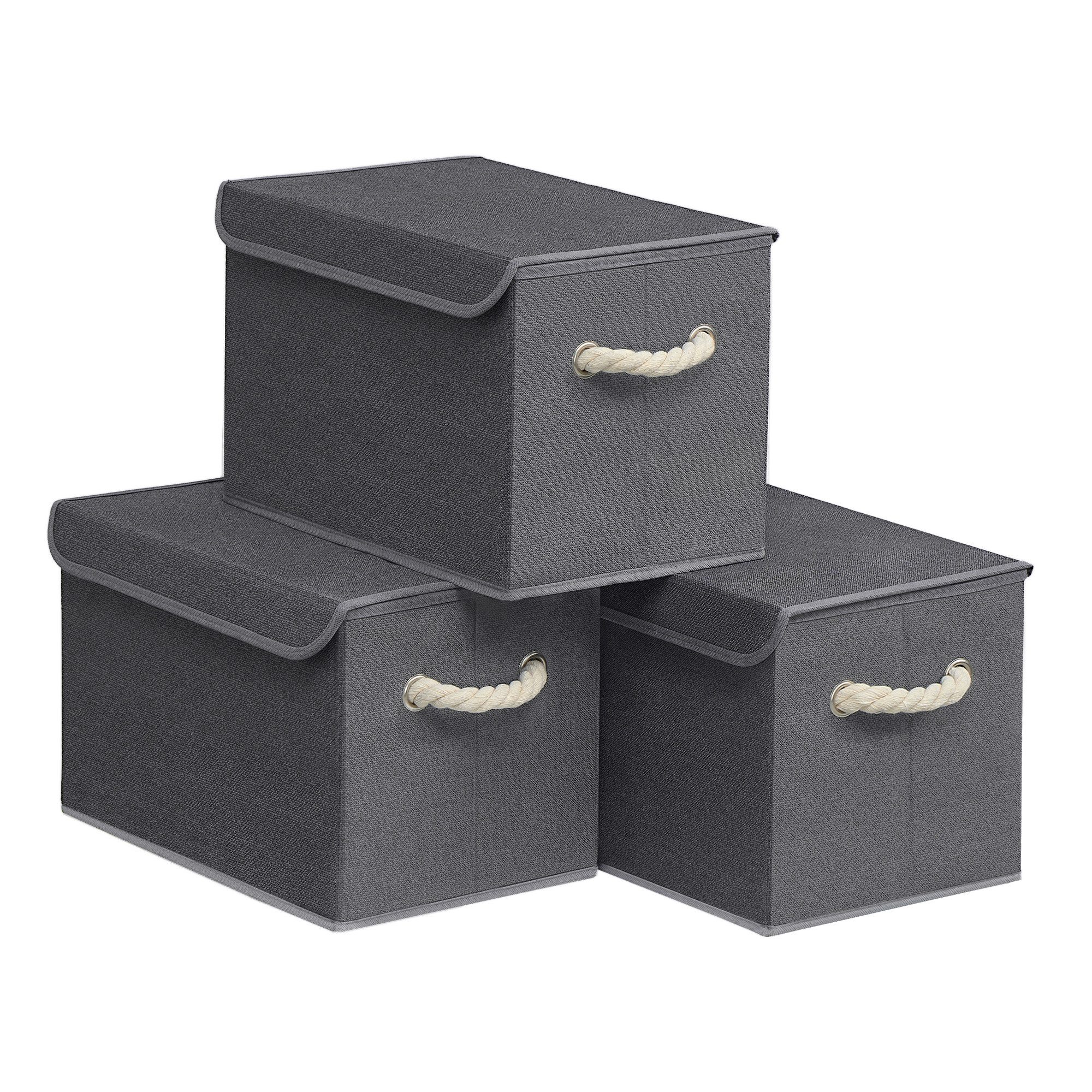 SONGMICS Aufbewahrungsbox mit Deckel, 3er Set, klappbar, Stoffboxen, Aufbewahrung, Organizer, Kleiderschrank, Griffe, 38 x 25 x 25 cm