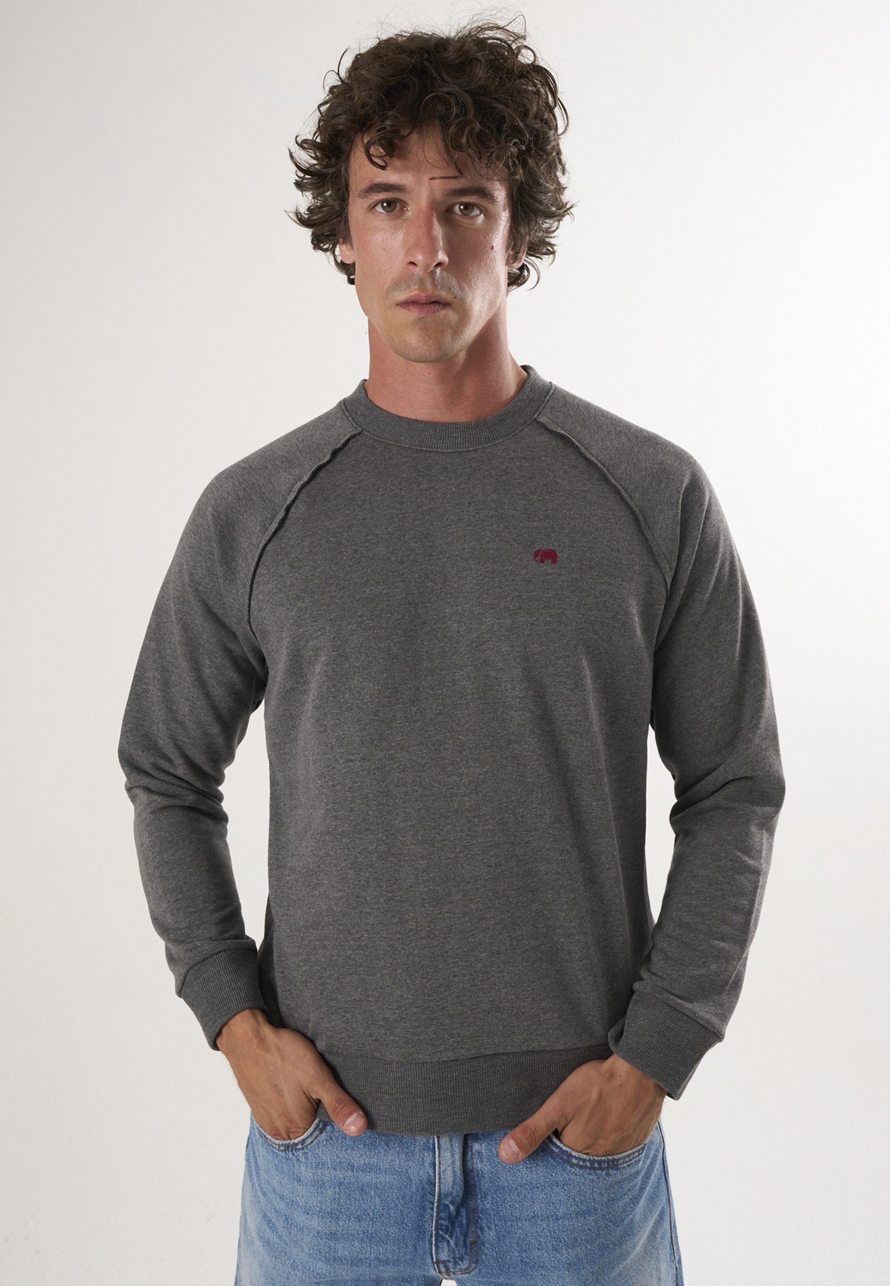 Felix Hardy Sweater Basic Rundhals Sweatshirt