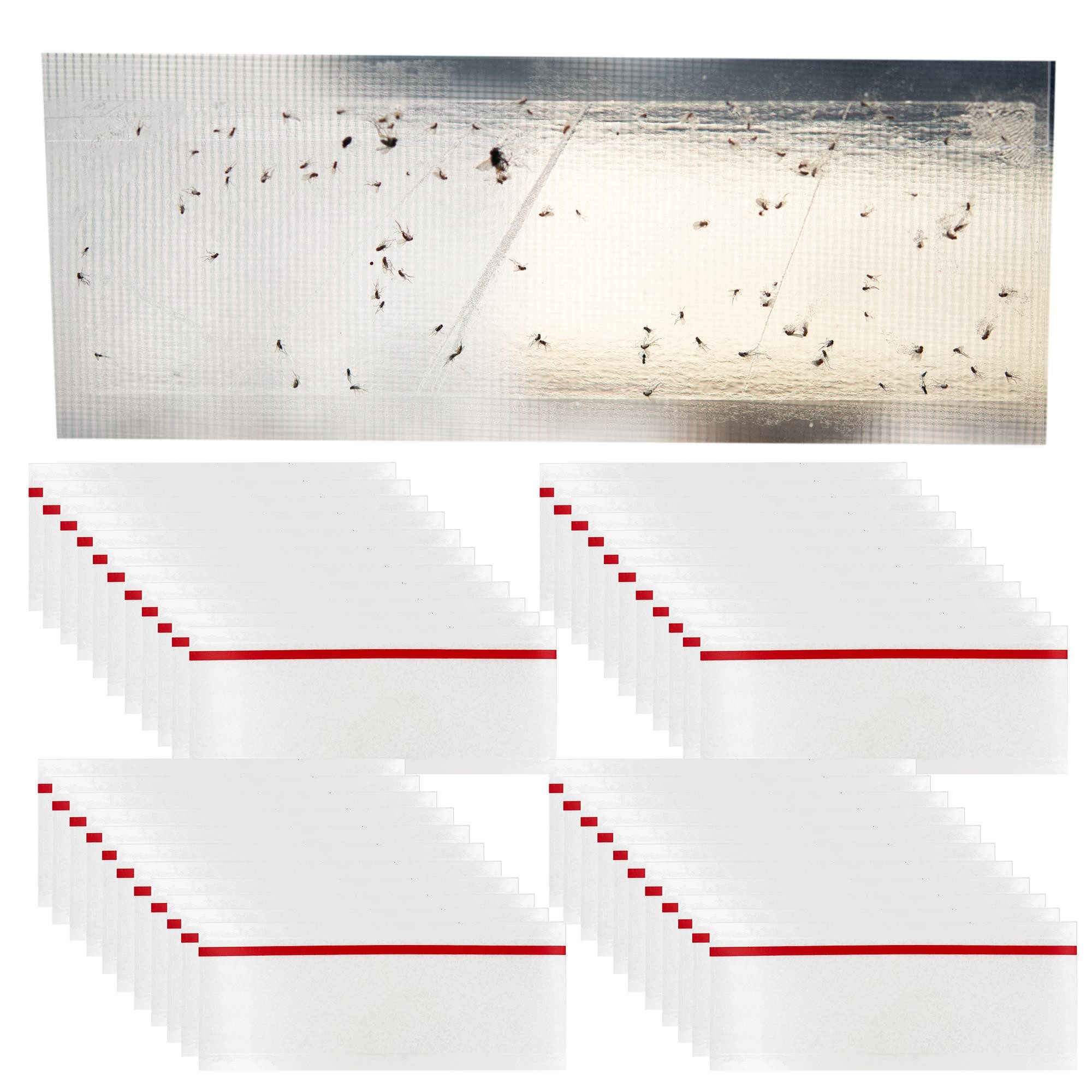 TSB Werk Insektenschutz-Vorhang Fliegenfalle Fenster Leimfalle günstig online kaufen