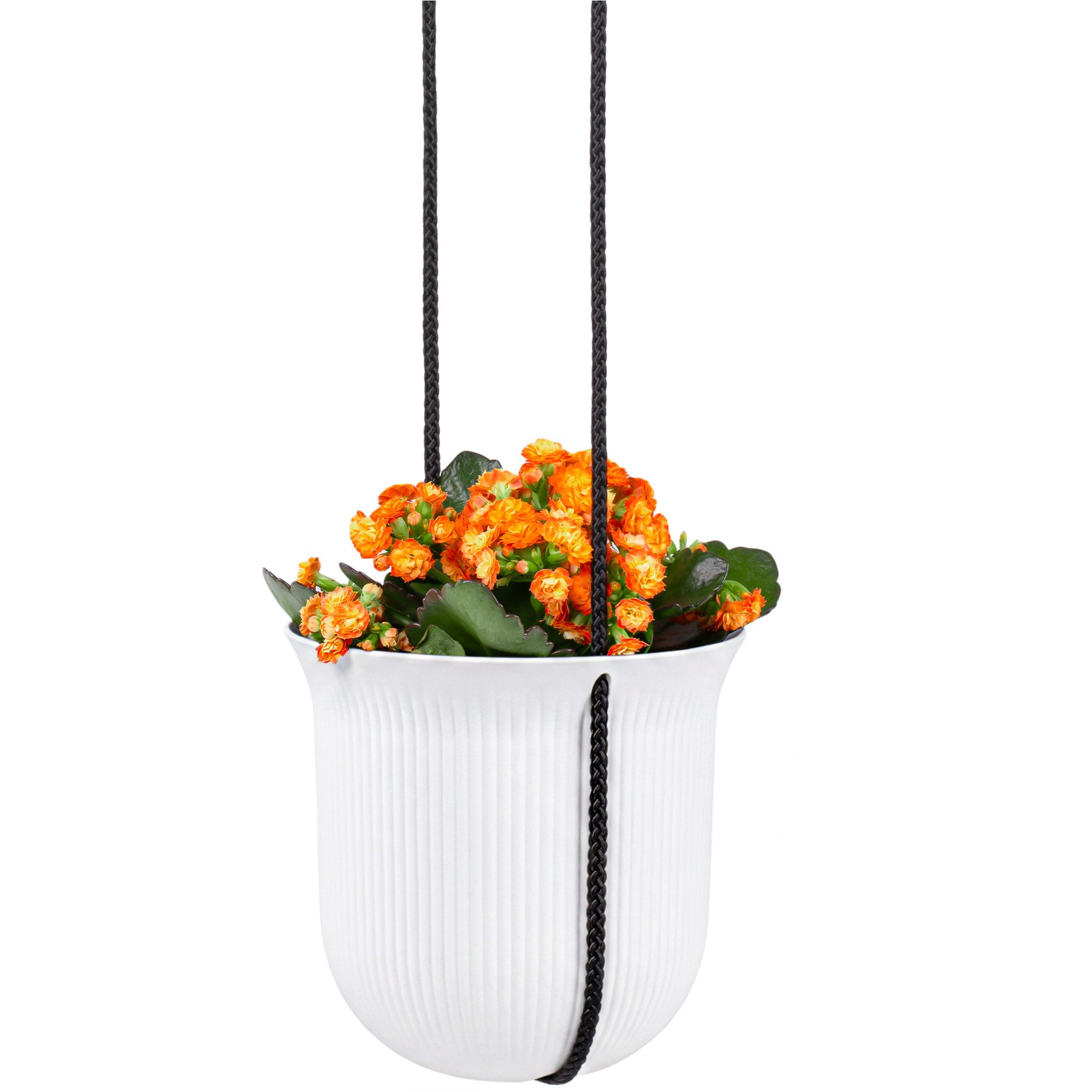 KONZEPT Blumenampel hängend, Ø 18 cm, 3-in-1 Set mit Topf, Halterung und Schnur, Rippen-Look, Aus Kunststoff, Wetter- & UV-beständig, Leicht